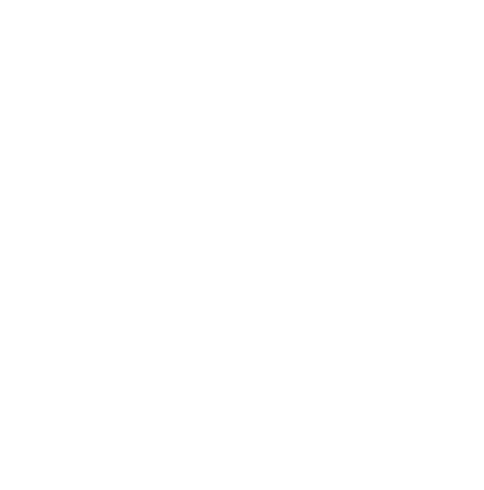 TSV 2000 Rothenburg Handball Logo